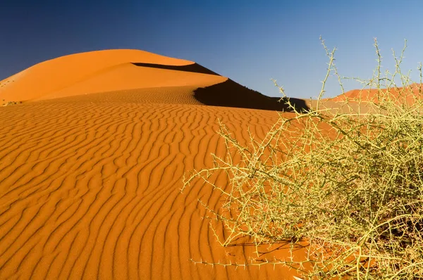 Paisagem Dunas Sossusvlei Pôr Sol Namíbia África — Fotografia de Stock
