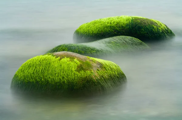 Algensteine Der Ostsee Nahe Der Insel Rügen — Stockfoto