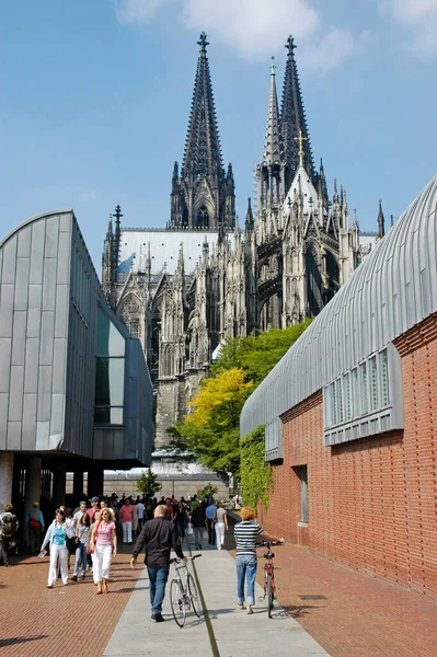 Catedral Colónia Museu Ludwig Colónia Renânia Norte Vestefália Alemanha — Fotografia de Stock