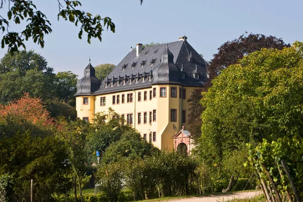 Castello Vollrads Rheingau Reno Assia Germania — Foto Stock