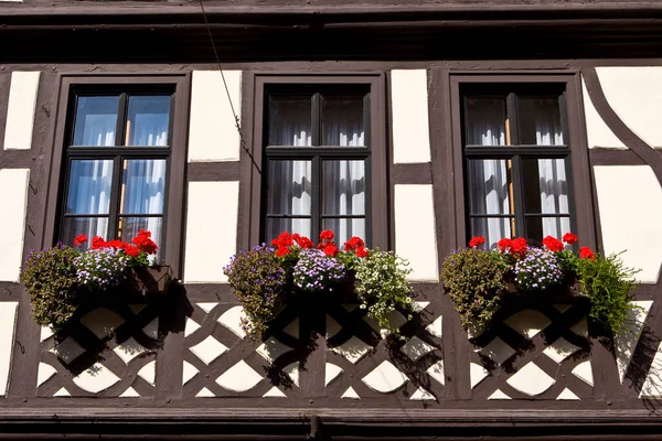 Vieille Ville Maisons Bois Bien Entretenues Avec Boîtes Fleurs Miltenberg — Photo