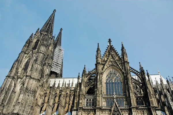 Kölnkatedralen Köln Nordrhein Westfalen Tyskland Stockbild