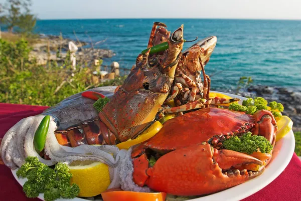 Seafood Platter Matemo Island Resort Quirimbas Islands Mozambik Africa Stok Foto