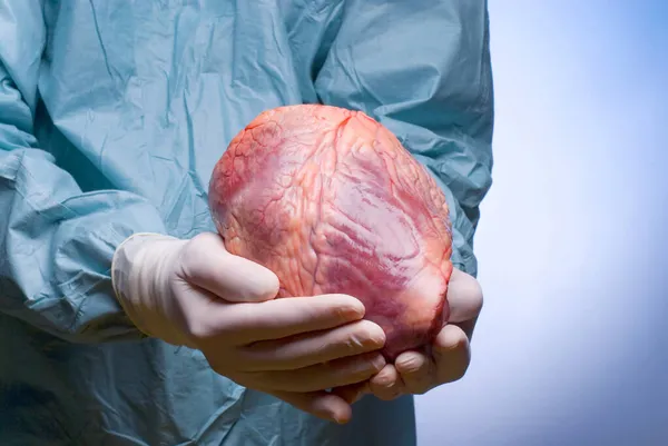 Cirurgião Segurando Coração Suas Mãos — Fotografia de Stock