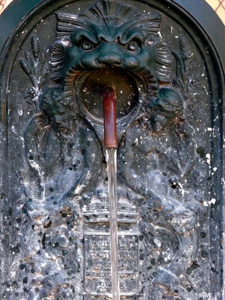 ライオンの頭を持つ噴水井戸ガーゴイル — ストック写真