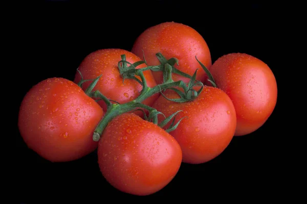 Grupo Tomates Isolado Preto — Fotografia de Stock