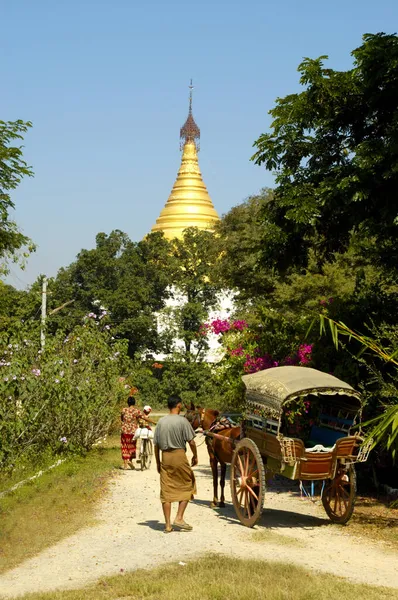 馬のカートでラウンジに身を包んだ男 背景に金色の仏塔 Ava Inwa Mandalay Burma — ストック写真