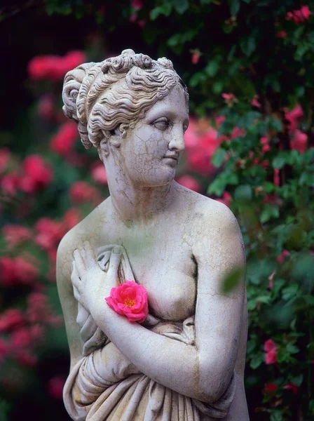 Estátua Ninfa Com Rosa Baden Baden Baden Wurttemberg Alemanha — Fotografia de Stock