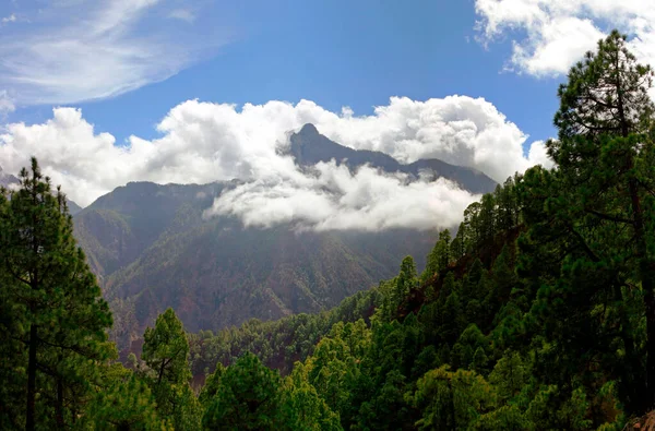 Národní Park Caldera Taburiente Palma Kanárské Ostrovy Španělsko — Stock fotografie