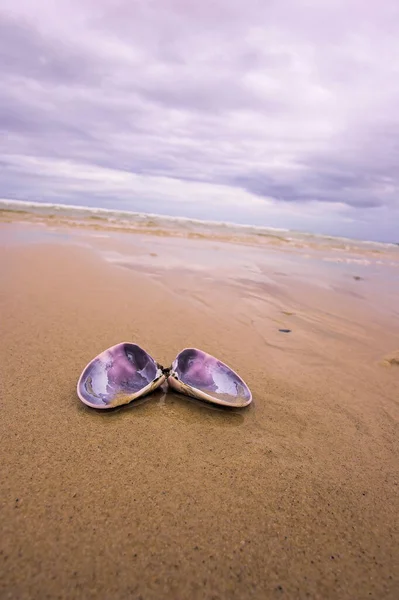 Shell Beach — Stock Photo, Image