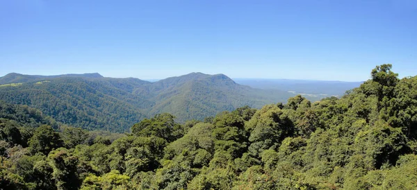 Národní Park Dorrigo Nový Jižní Wales Austrálie — Stock fotografie