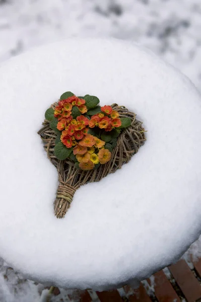 Yuvarlak Masa Üstünde Karlı Çuha Çiçekleri Olan Kalp — Stok fotoğraf