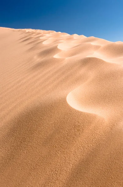 Dune Coral Pink Sand Dunes State Park Kanab Utah Usa — Zdjęcie stockowe