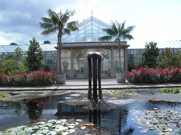 Kirándulás Botanikus Kertbe Bonnban Itt Tengeri Rózsa Vízszoborral Üvegházzal Abból — Stock Fotó
