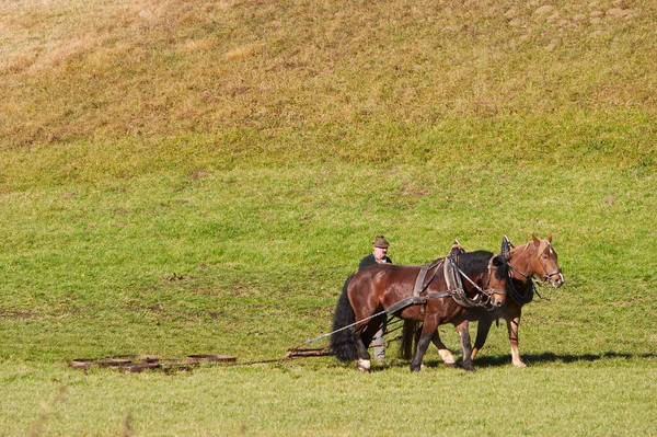 Granjero Caballos Desgarrando Campo Baviera — Foto de Stock