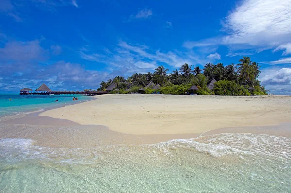 Isla Con Palmeras Maledivas —  Fotos de Stock