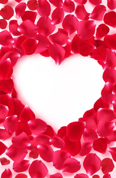 玫瑰心 情人节心形框架 红色玫瑰花瓣 白色背景 — 图库照片