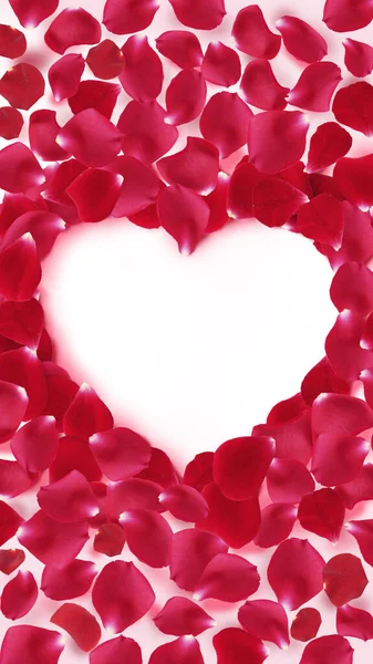 玫瑰心 情人节心形框架 红色玫瑰花瓣 白色背景 — 图库照片