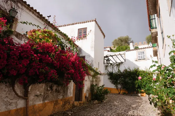 Casas medievales en la antigua ciudad de Obidos, Portugal — Foto de Stock