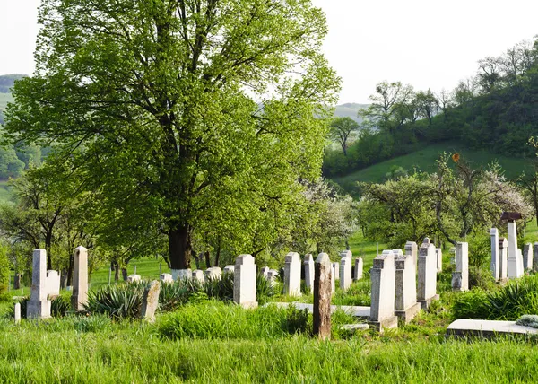 Cemitério do campo com grama verde e árvores — Fotografia de Stock