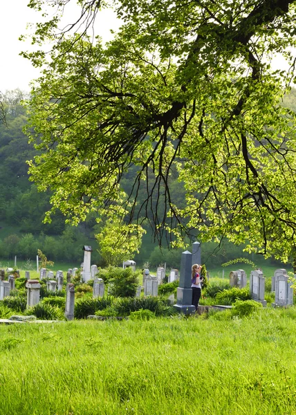 农村公墓与绿草和树木 — 图库照片