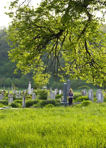 Countryside cemetery with green grass and trees — Stock Photo, Image