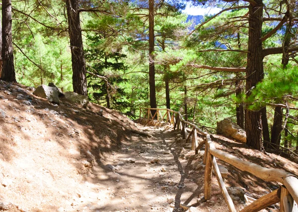 Samaria Gorge, isla de Creta, Grecia —  Fotos de Stock