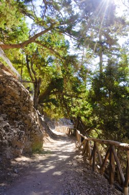 Samiriye gorge, Girit Adası, Yunanistan