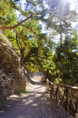 Samaria Gorge, island of Crete, Greece clipart