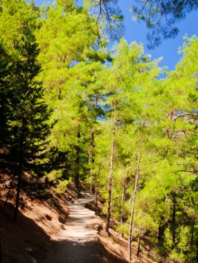 Samiriye gorge, Girit Adası, Yunanistan
