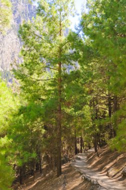 Samiriye gorge, Girit Adası, Yunanistan