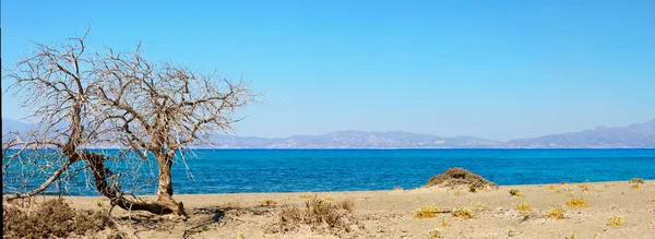 Fantastiska stranden chrissi Island, nära crete, Grekland — Stockfoto