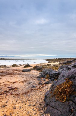 budir - snaefellsnes Yarımadası'nda küçük bir kasaba yakınlarında İzlanda siyah voulcanic taşlarla kum plaj