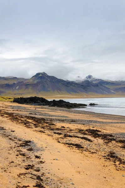 Sand beach with black voulcanic rocks in Iceland near Budir - small town on Snaefellsnes peninsula — Stock Photo, Image