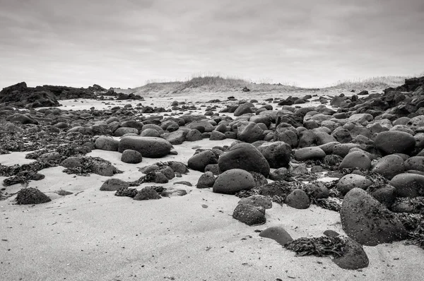 Sand beach with black voulcanic rocks in Iceland near Budir - small town on Snaefellsnes peninsula — Stock Photo, Image