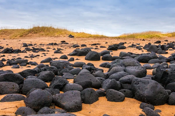 Sand beach with black voulcanic rocks in Iceland near Budir - small town on Snaefellsnes peninsula — Stock Photo, Image