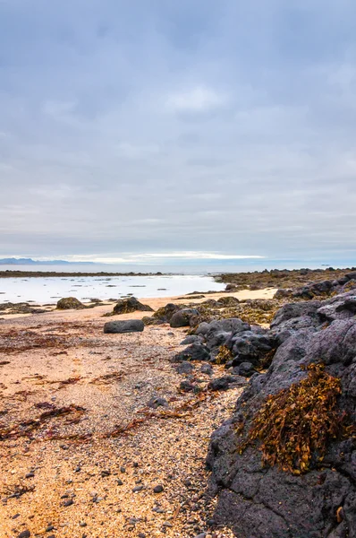 Plage de sable avec roches noires voulcaniques en Islande près de Budir - petite ville sur la péninsule de Snaefellsnes — Photo