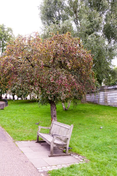 Empty wooden bench in the city park — Stock Photo, Image