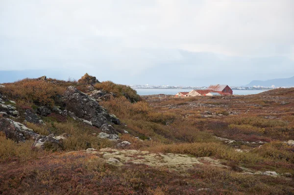 Islandsk landskab - Stock-foto