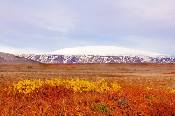 Isländische Landschaft — Stockfoto