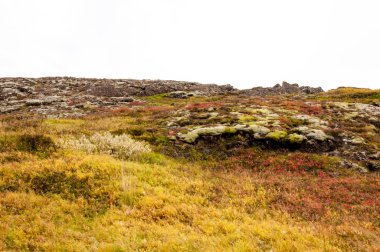 Thingvellir Milli Parkı, İzlanda