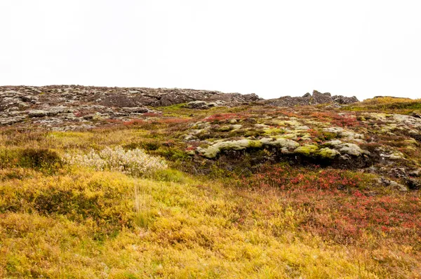 Þingvellir nationalpark, Island — Stockfoto