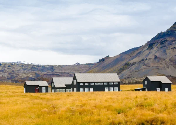 İzlandalı yataygullfoss Şelalesi — Stok fotoğraf