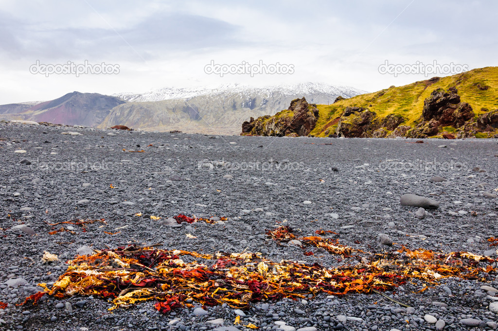 Icelandic beach with black lava rocks, Snaefellsnes peninsula, Iceland