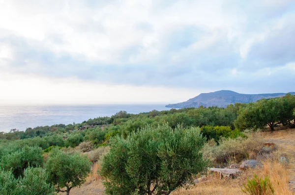 クレタ島の風景、クレタ島、ギリシャの広い視野 — ストック写真