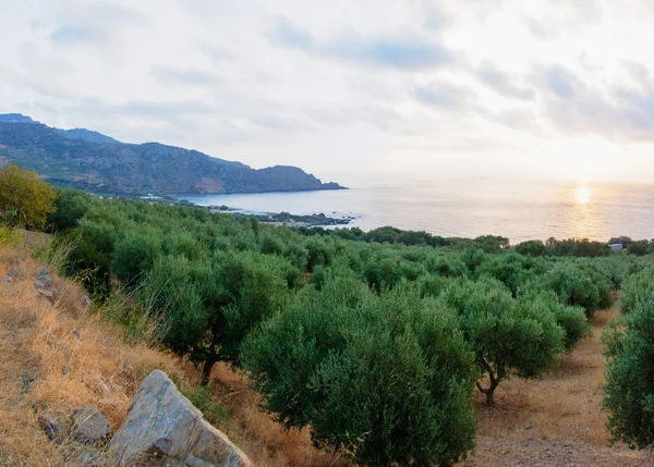 Vue large d'un paysage crétois, île de Crète, Grèce — Photo