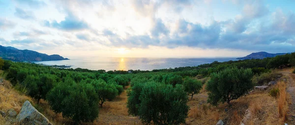 Weiter Blick auf eine kretische Landschaft, Insel aus Beton, Griechenland — Stockfoto
