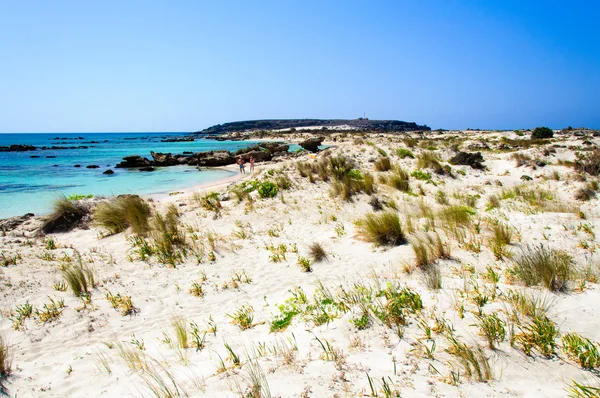 Elafonissi Strand, mit rosa weißem Sand und türkisfarbenem Wasser, Insel aus Beton, Griechenland — Stockfoto