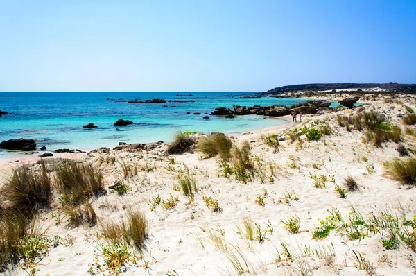 Elafonissi 海滩，带粉红色的白色沙滩和绿松石水、 克里特岛、 希腊 — 图库照片