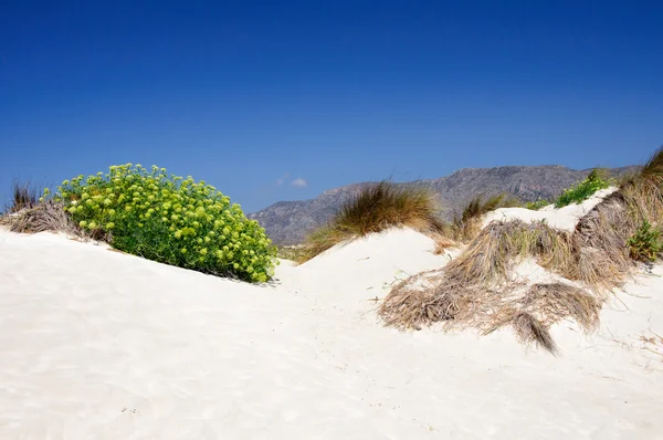 Elafonissi beach, with pinkish white sand and turquoise water, island of Crete, Greece — Stock Photo, Image